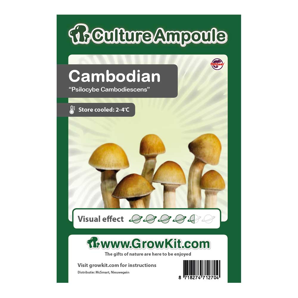 zarodniki w ampułkach cambodian