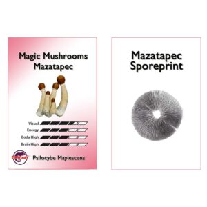 zarodniki mazatapec
