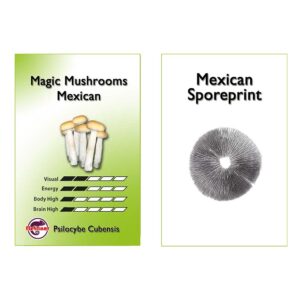 Zarodniki grzybów Mexican