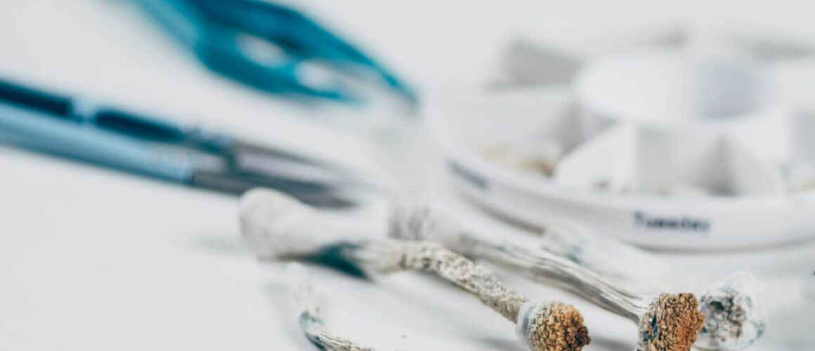 mikrodawkowanie psylocybiny