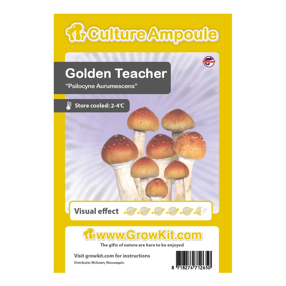 ampułki z zarodnikami Golden Teacher