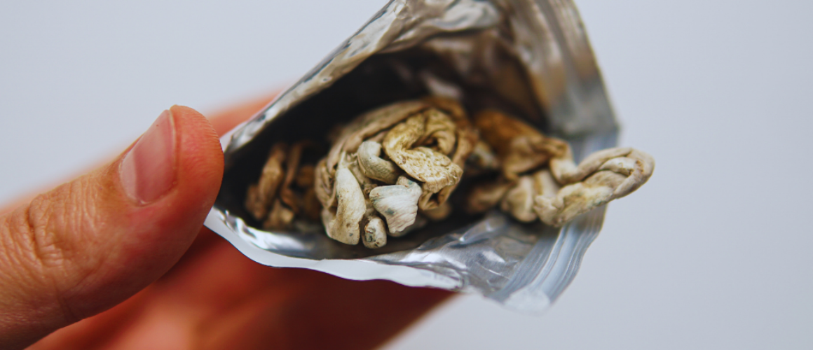 jak przechowywać grzyby