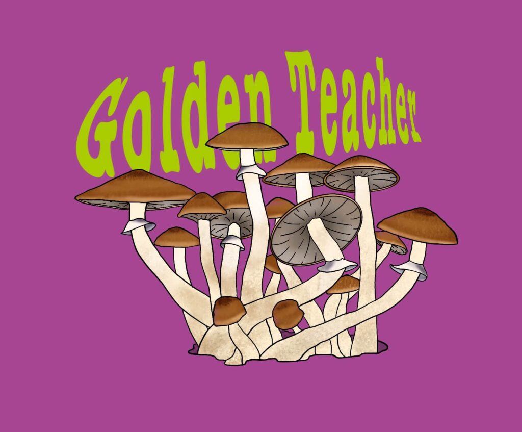 growkit GOLDEN TEACHER