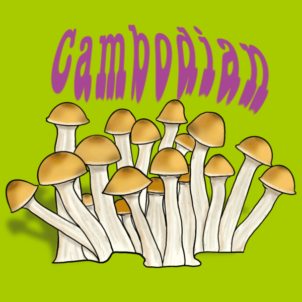 Growkit Cambodian