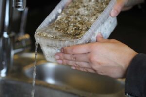 instrukcja obsługi growkitów