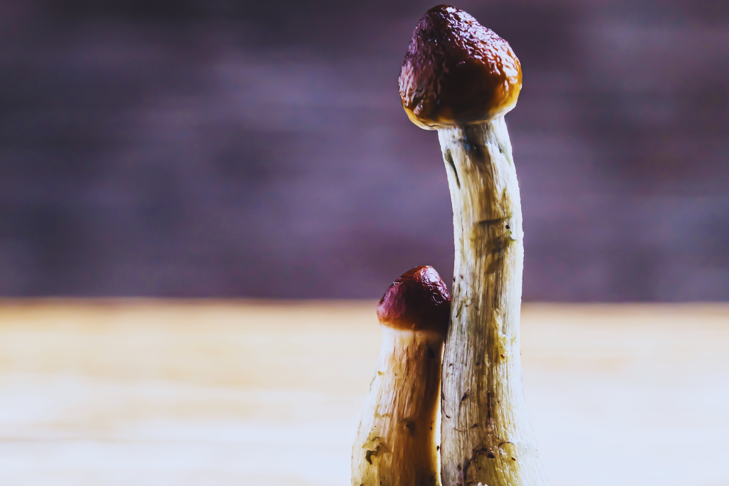 Legalne a nielegalne psychodeliki i terapie psychodeliczne