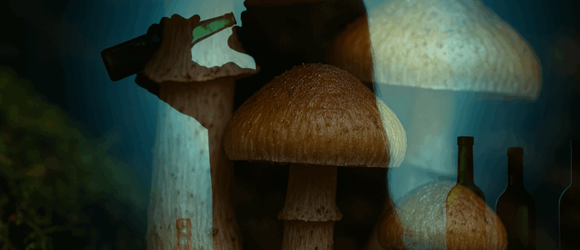 terapia psylocybiną