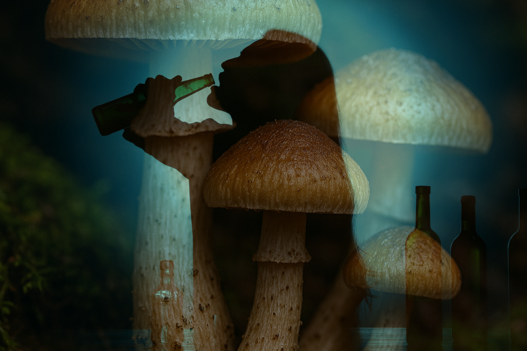 Terapia psylocybiną | Nadzieja w leczeniu depresji i alkoholizmu