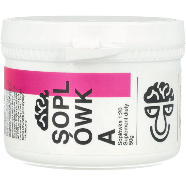 Lion’s Mane (Soplówka jeżowata) 201 – Ekstrakt w proszku 50 g Suplement diety DrGrzyb