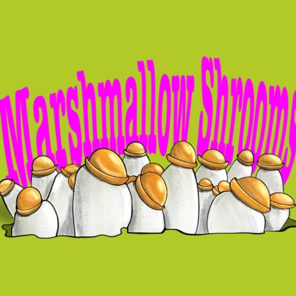 Growkit Marshmallow Shrooms
